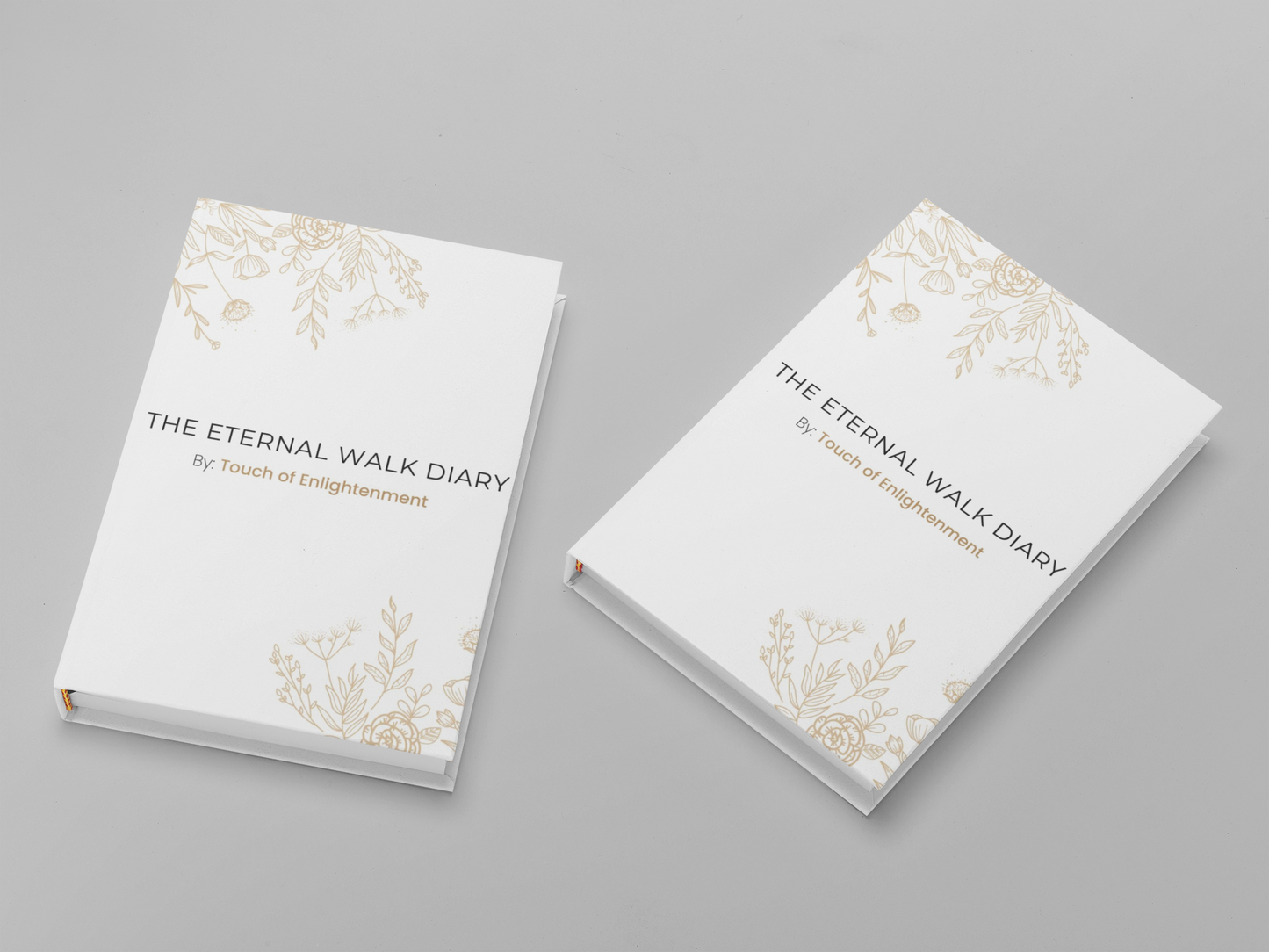 THE ETERNAL WALK DIARY